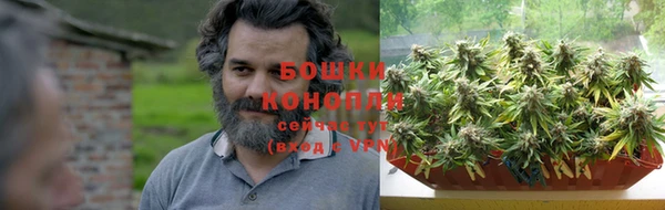 ПСИЛОЦИБИНОВЫЕ ГРИБЫ Коряжма