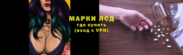 ПСИЛОЦИБИНОВЫЕ ГРИБЫ Коряжма