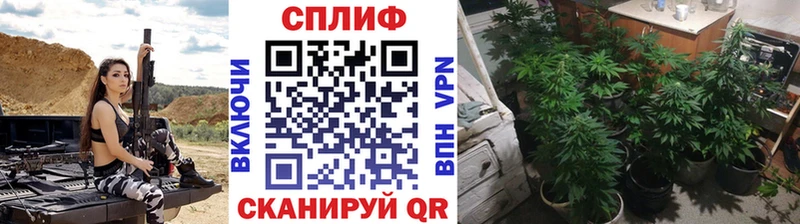 Купить  Урай  Каннабис план 